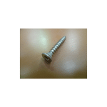 850462 Door Hinge Screws